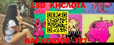 гашик Краснодар