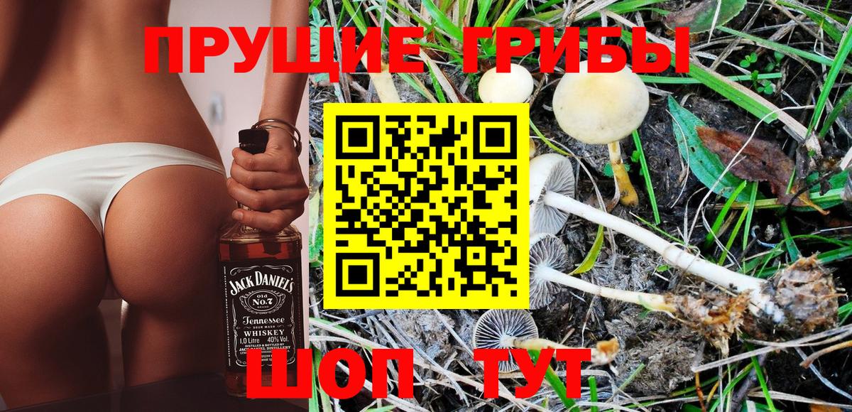Псилоцибиновые грибы MAGIC MUSHROOMS Касимов